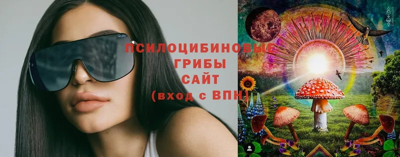 где купить наркоту  Добрянка  Галлюциногенные грибы Psilocybe 